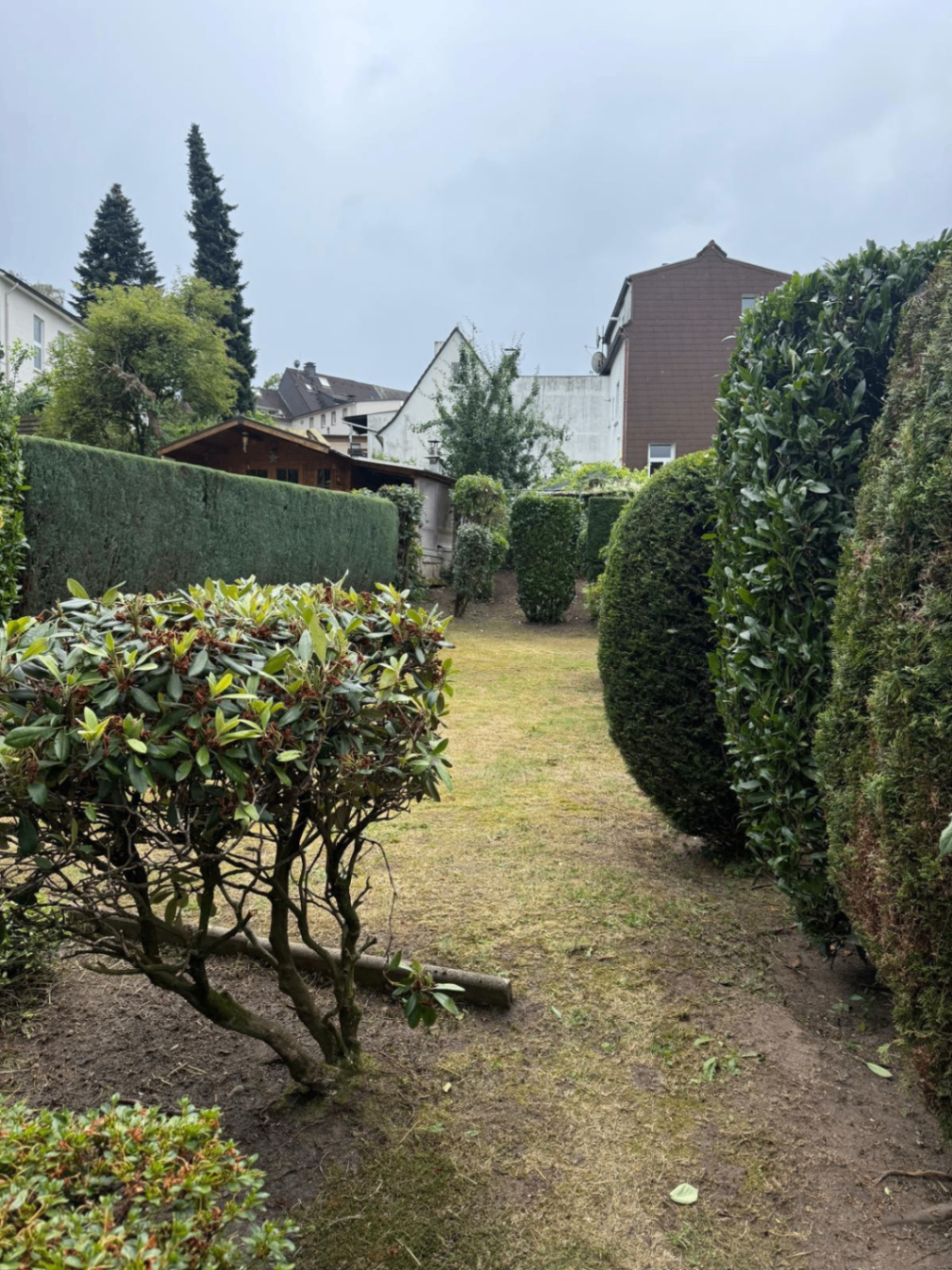 Kundenprojekt: Gartenanlage mit Formschnitt