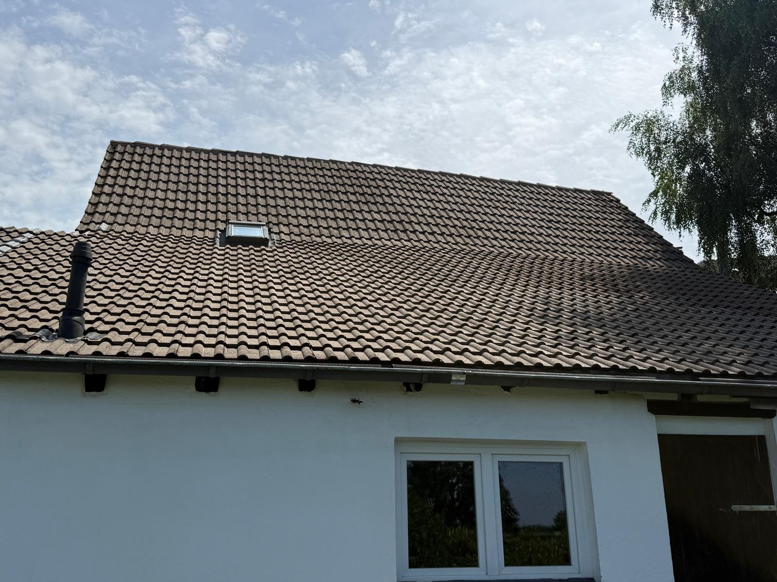 Kundenprojekt: Dachreinigung