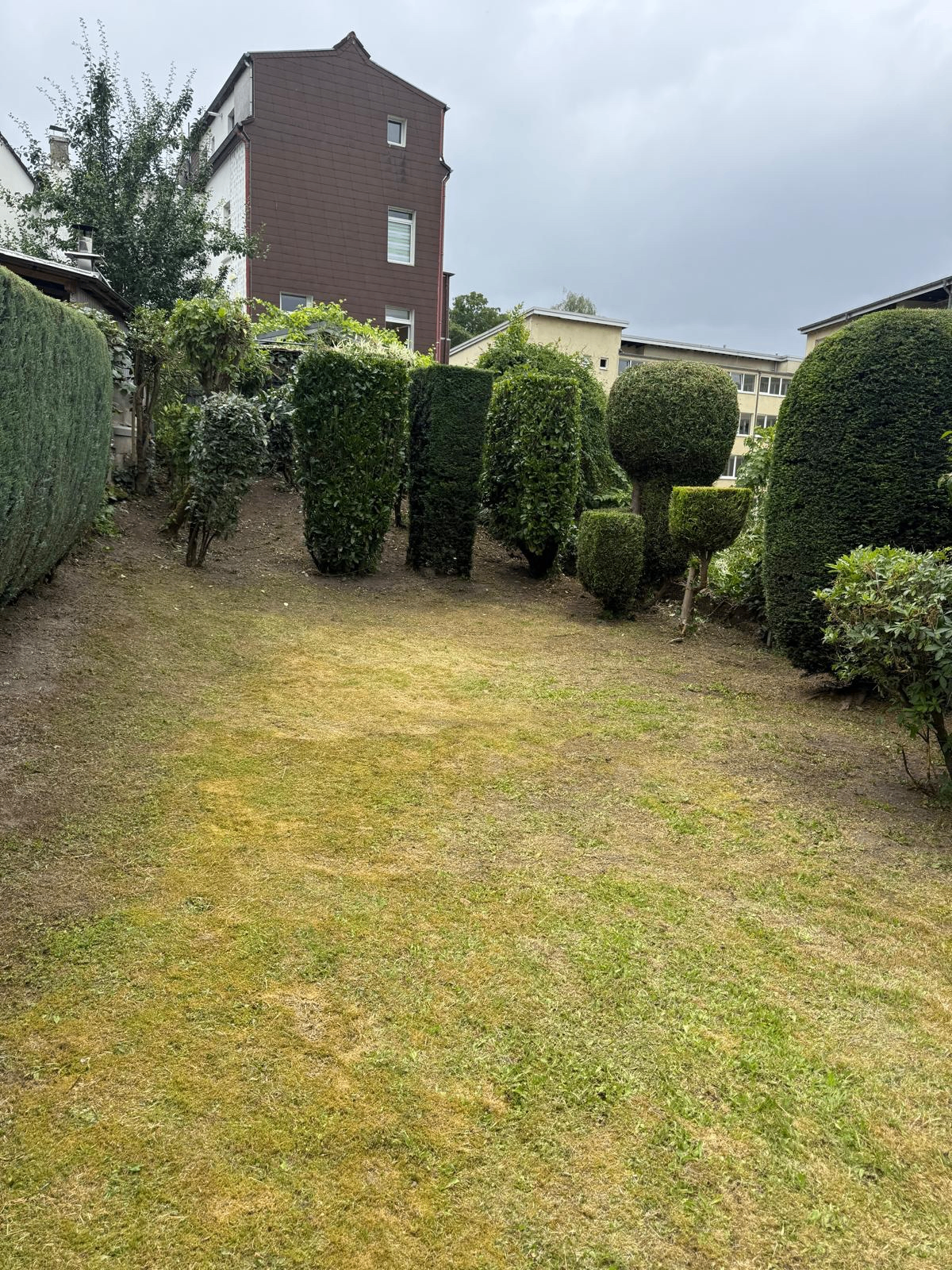 Kundenprojekt: Garten mit geschnittenen Sträuchern